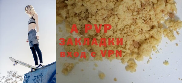 PSILOCYBIN Кулебаки