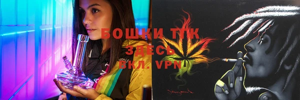 PSILOCYBIN Кулебаки
