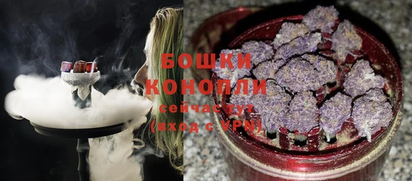 PSILOCYBIN Кулебаки