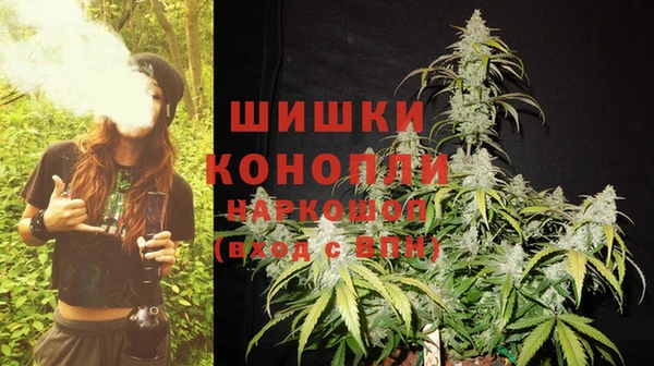хмурый Лиски
