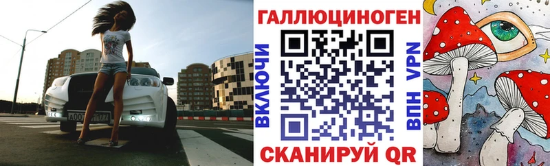 Галлюциногенные грибы Psilocybine cubensis  Лихославль 